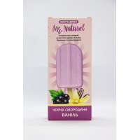 Морозиво "Чорна смородина-ваніль" 70г Ms.Naturel