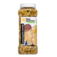 Гранола шоколадний пломбір 250 г ТМ Bee Granola